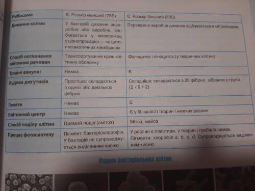 Порівняти клітини прокаріотів і еукаріотів, знайти відмінності. на що це вказує?