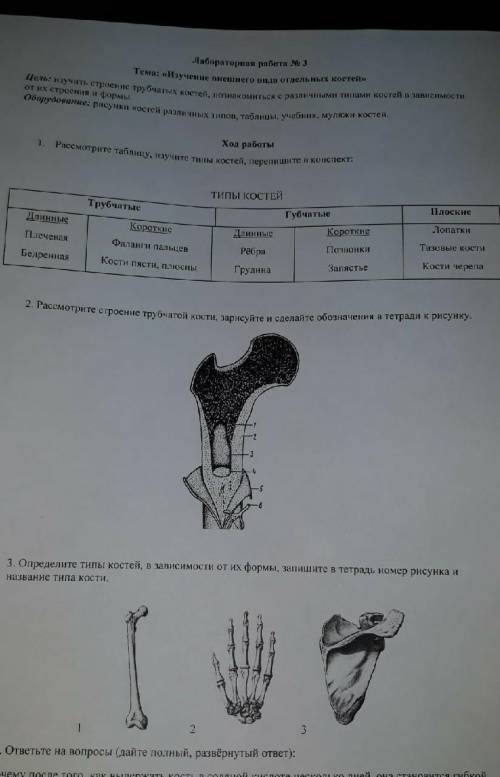 НОМЕР! определите вид каждой кости (трубчатая, губчатая, плоская) и название каждой кости ​