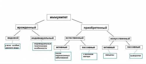 СООБЩЕНИЕ ПО ТЕМЕ: ИММУНИТЕТ Минимум на один с половиной листа БИОЛОГИЯ