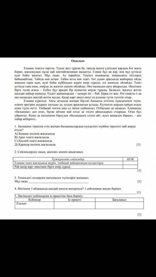 ТОЛЬКО ПЕРВЫЙ Еламан тенізге тартты. Түнде жел тұрған ба, таяуда жауға үлпілдек қардың бет жағы бора