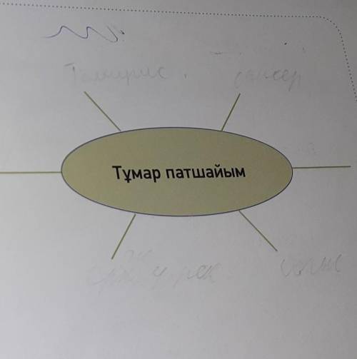 ЖАЗЫЛЫМ -тапсырма.6Мәтіннің мазмұнына байланысты 7 сұрақ жаз.АЙТЫЛЫМ ЖАЗЫЛЬ,Тұмар патшайым7-тапсырма