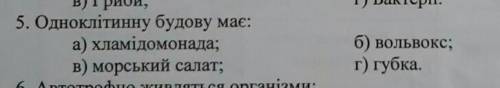 Що має одноклітинну бодову?​