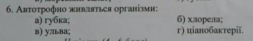 Какие организмы питаются автотрофно?​