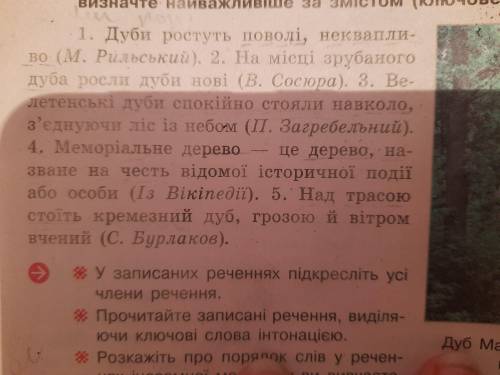 Визначте головні члени речення