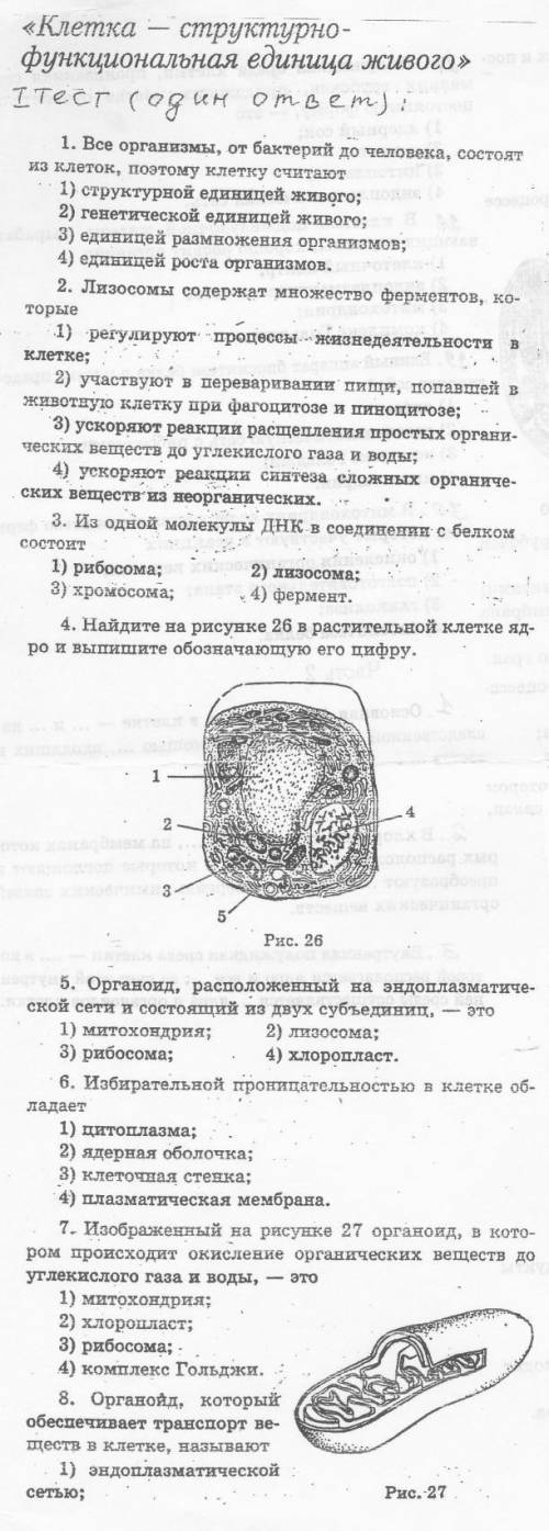 с тестом по биологии 10 класс ​