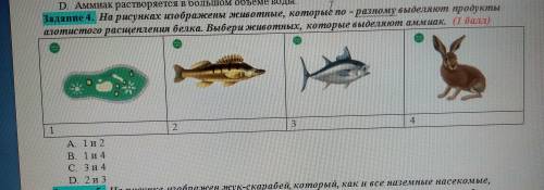 На рисунках изображены животные, которые по - разному выделяют продукты азотистого расщепления белка