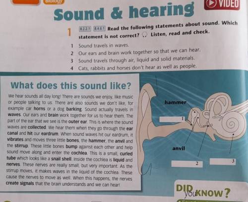 Read the following statements about sound. Which statement is not correct Listen, read and check