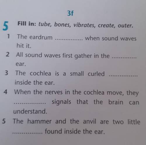 3f 5 Fill in: tube, bones, vibrates, create, outer.1 The eardrum when sound waves hit it.2 All sound