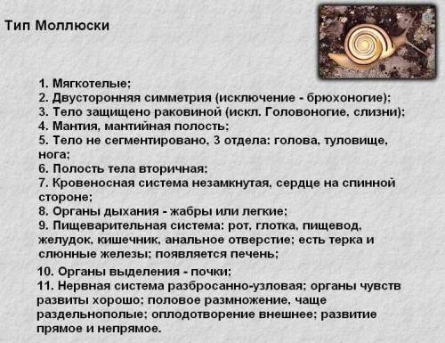 Исправьте ошибки: 1. Скелет моллюсков внутренний. 2. В состав раковин моллюсков входят кератин и изв