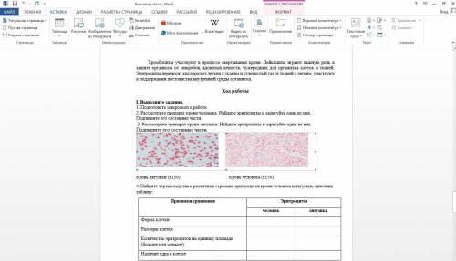 РЕШИТЬ ЛАБОРАТОРНУЮ РАБОТУ ПО БИОЛОГИИ.