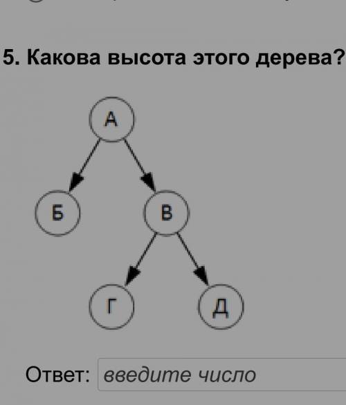 Какова высота этого дерева? задание 5​