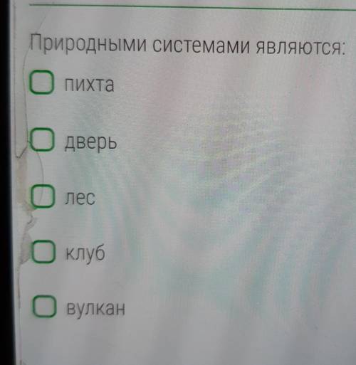 Природными системами являются:ПихтаДверьлесклубвулканответить!​