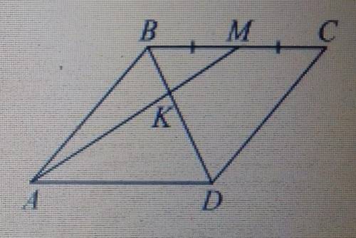 В параллелограмме ABCD отмечена точка М середина стороны ВС. Отрезки BD и АМ пересекаются в точке К.