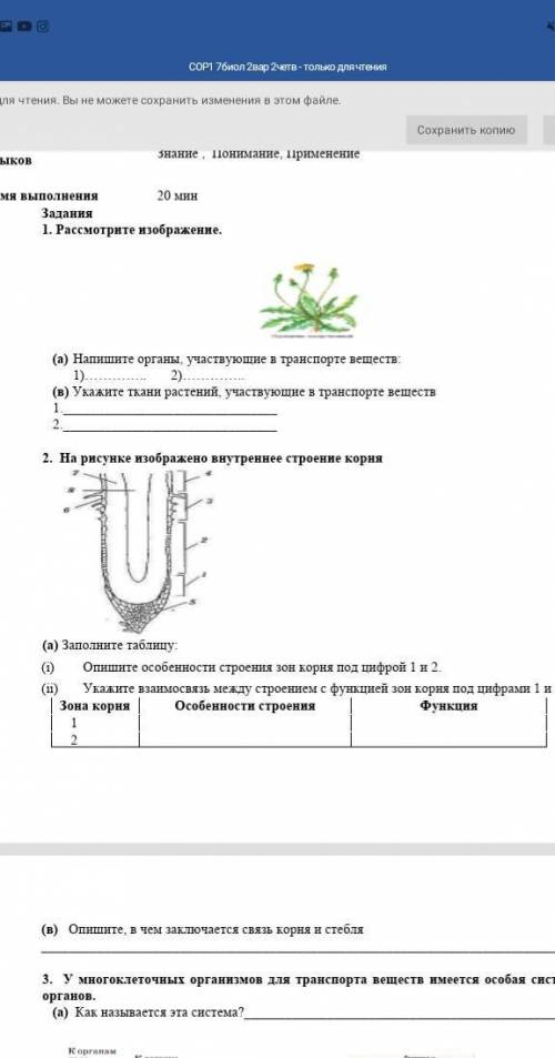 . На рисунке изображено внутреннее строение корня (а) Заполните таблицу: (i) Опишите особенности стр