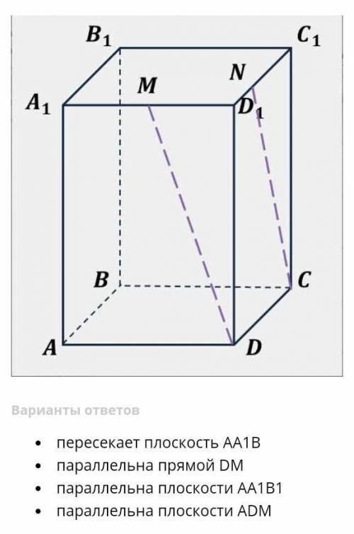 Укажите верное утверждение. Прямая СN:​