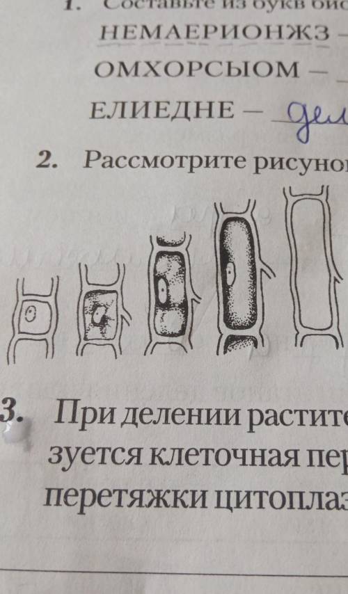 2. Рассмотрите рисунок. Какой процесс на нем изображен? ​