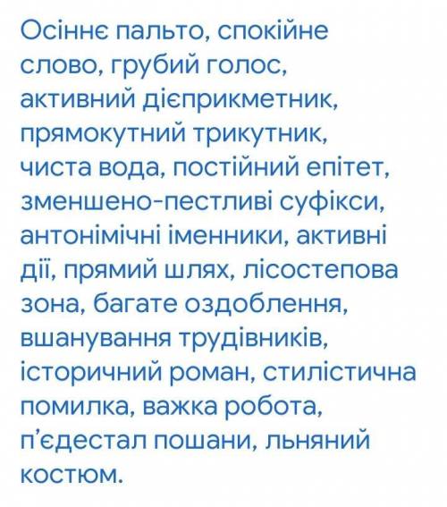 Запишіть подані словосполучення у дві колонки: з однозначними словами та з багатозначними словами