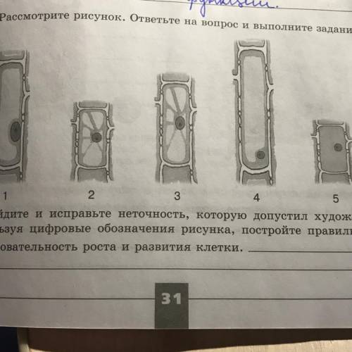 3. Рассмотрите рисунок. ответьте на вопрос и выполните задания. 1) Найдите и исправьте неточность, к