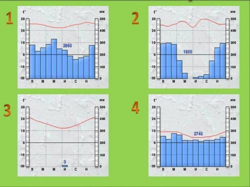 Соотнесите представленные на рисунке климатограммы с климатическими поясами Варианты ответов Экватор