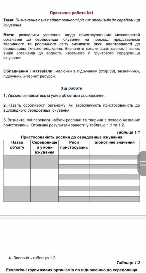 решить практическую работу. ​