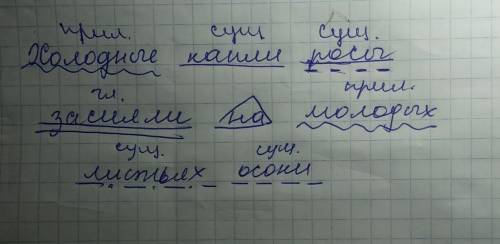 3. Запиши предложение. Холодные капли росы засияли на молодых листьях осоки.Сделай синтаксический ра