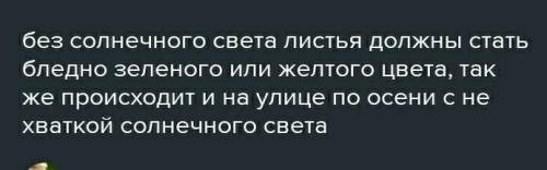 не жалко 50 1. Комнатное растение поместите в тёмный шкаф на несколько суток. 2. Достаньте растение