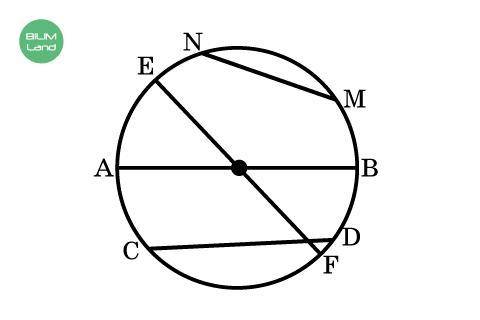 Определи деамитры окружности Верных ответов: 2 EF MN CD AB