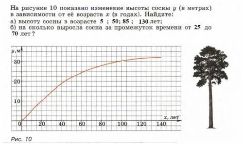 решить задачу по алгебре