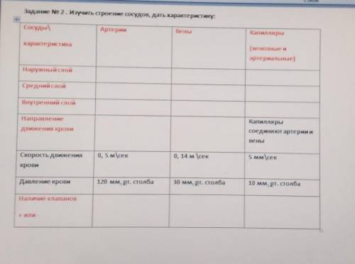 Задание No 2. Изучить строение сосудов, дать характеристику: Сосуды,АртерииВеныКапиллярыхарактеристи