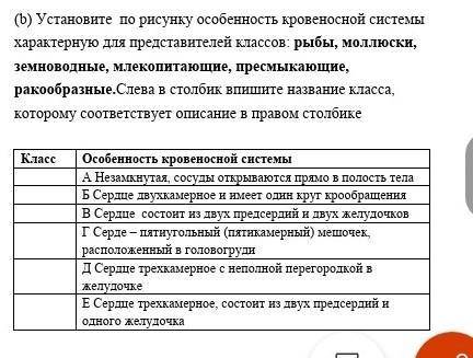 установите по рисунку особенности кровеносной системы характерную для представителей классов рыбы,мо