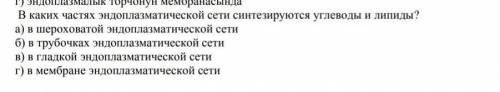 с этой и... Наличие каких оранелл отличает животную клетку от растительной А) Эндоплазматической сет