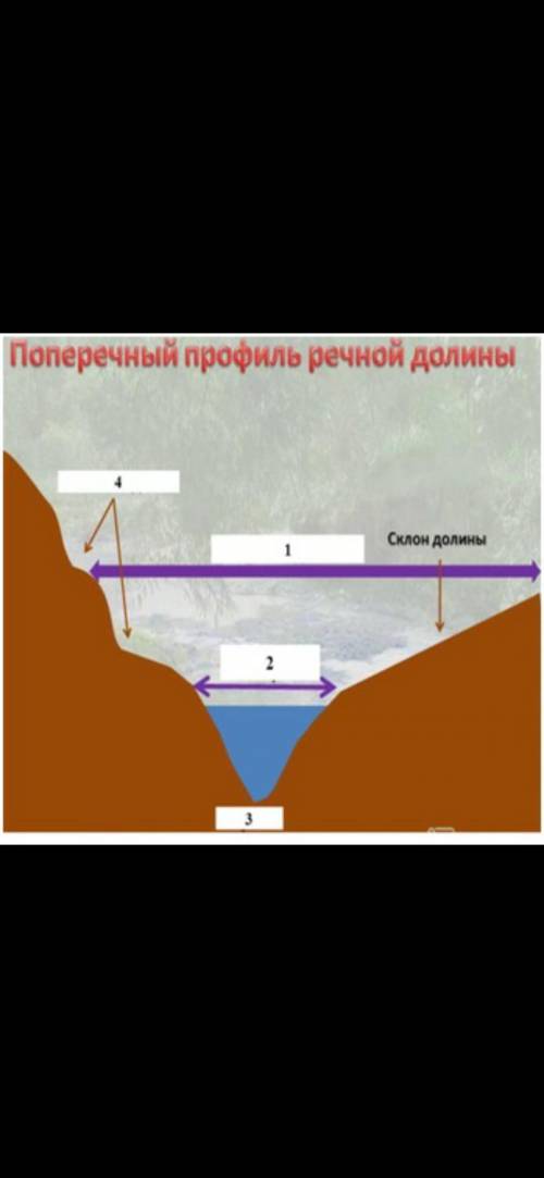 А. определите элементы речной долины; В. объясните строение речной долины.