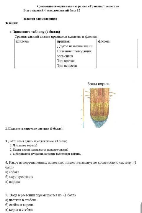 это сор кто знает ответы на него то всего 5 заданий за не правильный ответ буду кидать жалобу и вас