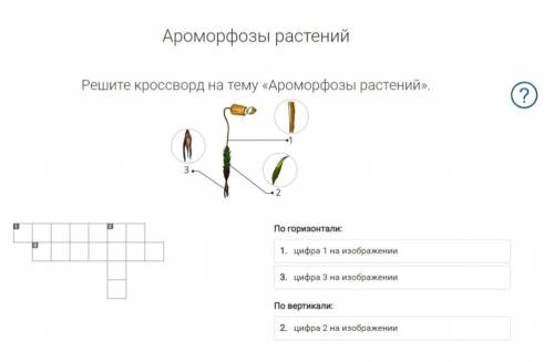 Решите кроссворд на тему «Ароморфозы растений».