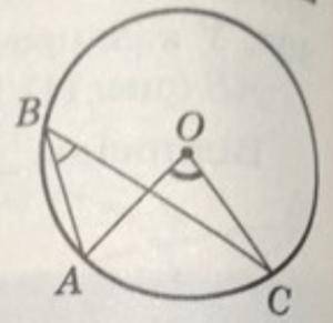 На рисунку градусна міра дуги АС дорівнює 50°. З'ясуйте, на скільки градусна міра кута АОС більша за
