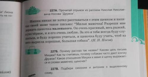 227Б. Почему рассказ так назван? Какова цель письма Мишки? Как ты считаешь, почему собакам часто даю