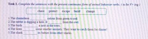 Chase protectescape buildchange1. The chameleoncolour from green to red.2. The rabbit is digging a h