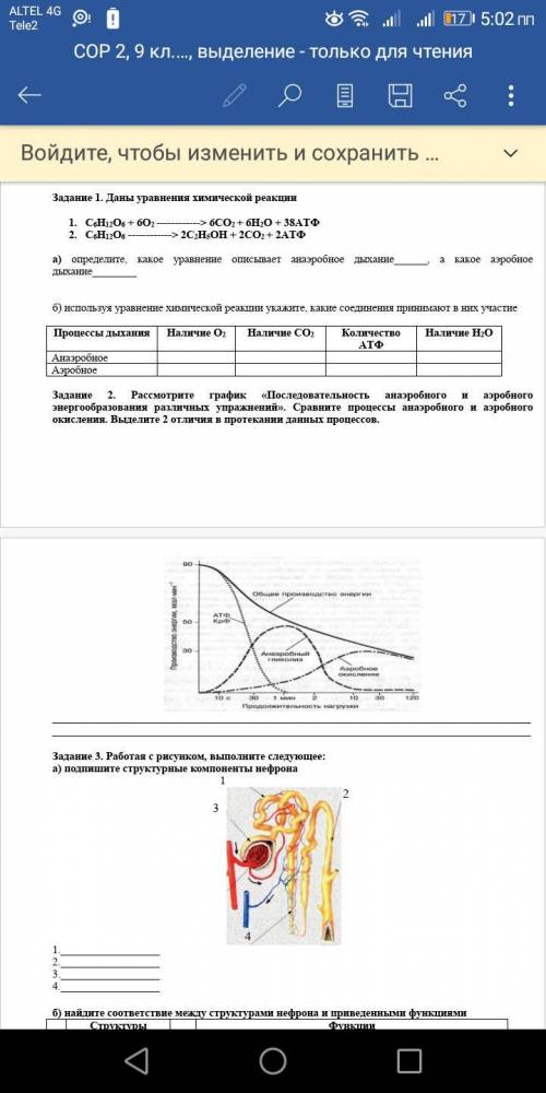 Задание 2. Рассмотрите график «Последовательность анаэробного и аэробного энергообразования различны