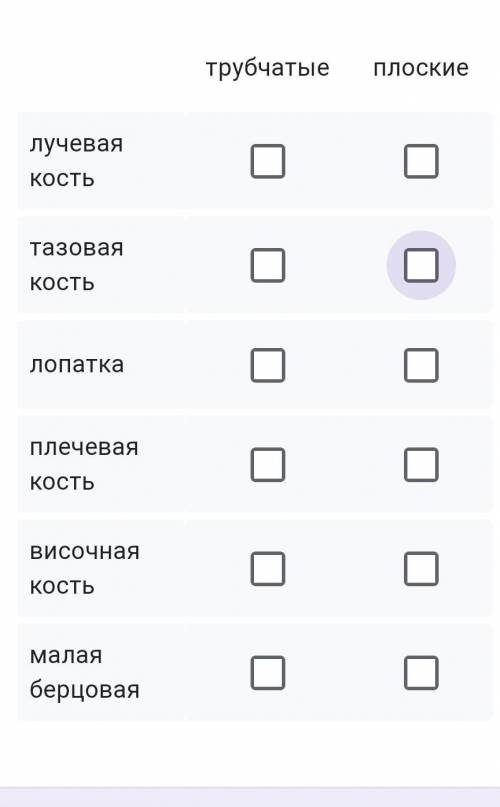 Установите соответствие между названием кости и типом, к которому она принадлежит, поставив галочку