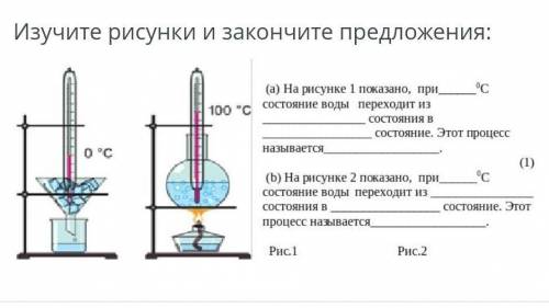 Изучите рисунки и закончите предложения