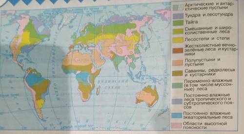 Природные зоны мира выписать природные зоны Северной Америки и Евразии вдоль Северного полярного кру