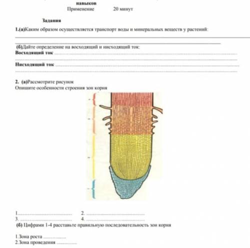 Сор по 7 класс по биологии ​