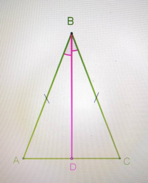 Геометрия 7 класс Отметил Заранее В равнобедренном треугольнике с длиной основании 51 проведена бисс