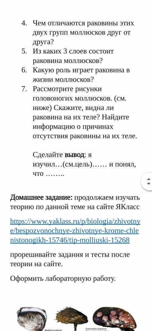 БИОЛОГИЯ! Оформить Лабораторную работу по теме - моллюски все во вложении.