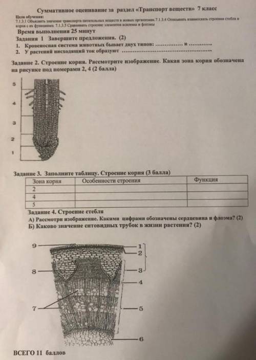 Сор по биологии, 7 класс