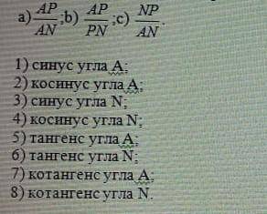 Дан прямоугольник MNP с прямым углом P. Установите соответствие между отношениями сторон и тригономе