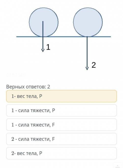 У МЕНЯ СОР Определите силу тяжести и веса тела изображённый на рисунке . Обозначьте эти силы соответ