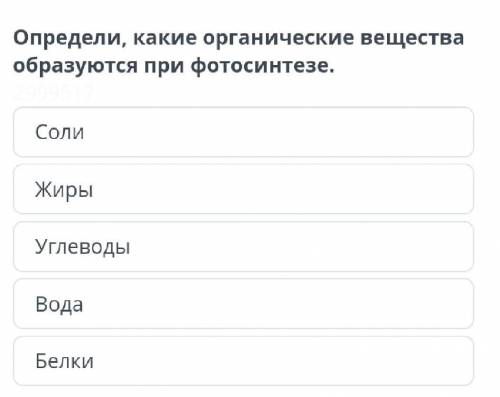 Определи, образуются при фотосинтезе. какие органические вещества Соли Жиры Углеводы Вода Белки. Онл