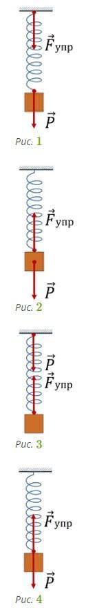 Если тело некоторой массы подвесить к пружине, то в результате их взаимодействия пружина растянется.