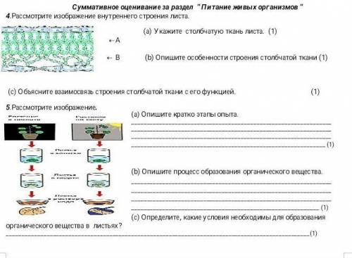 Сор по биологии за 2 четверть 7 класс